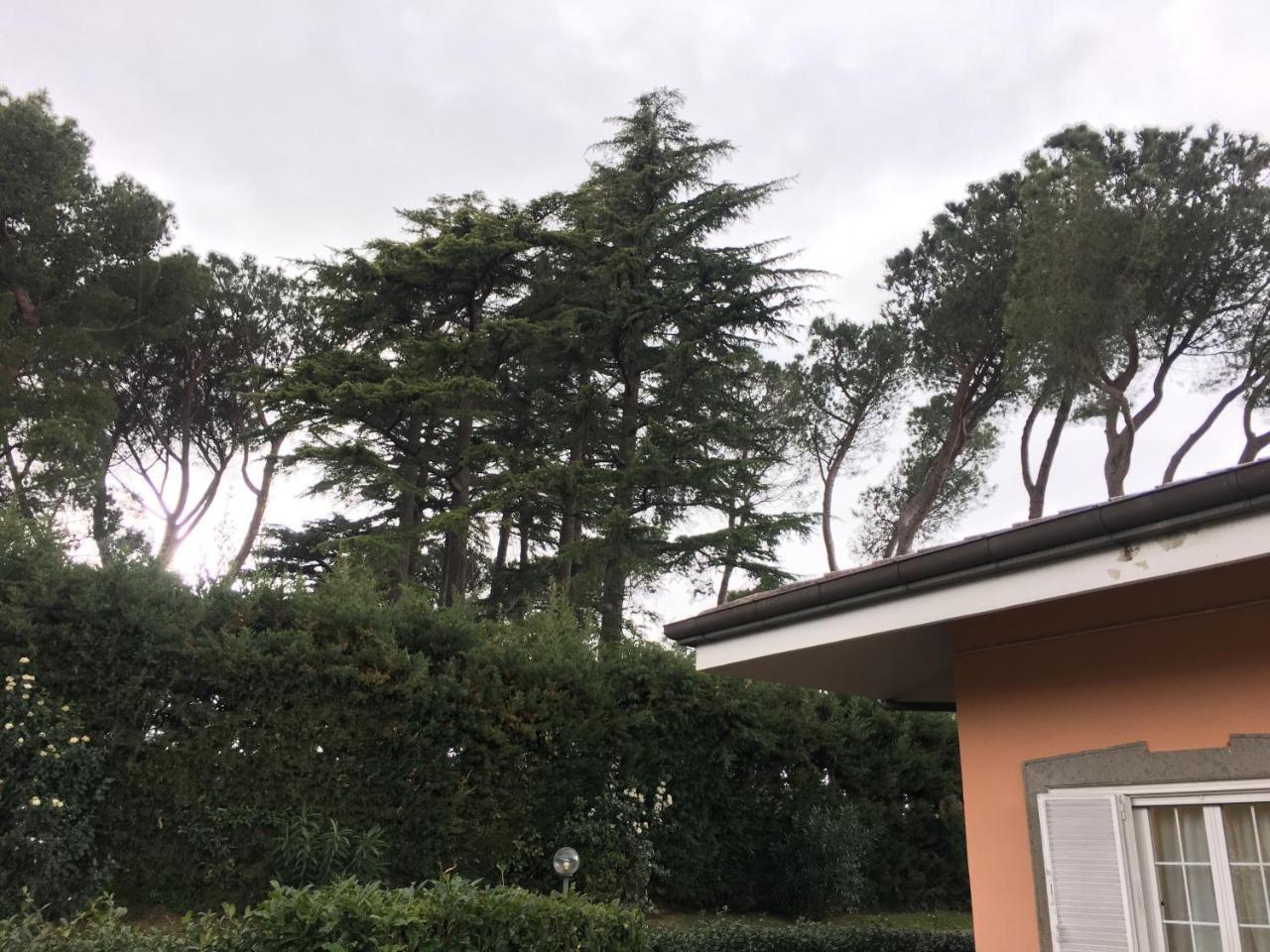 Villagio B&B Frascati Ngoại thất bức ảnh